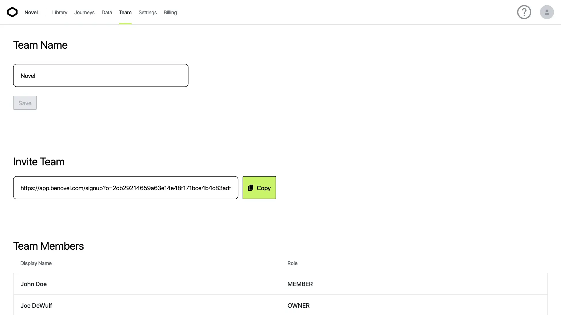 Novel platform Team dashboard with team name, invite link, and team members list.